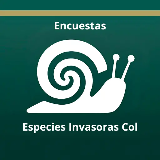 Icono de App